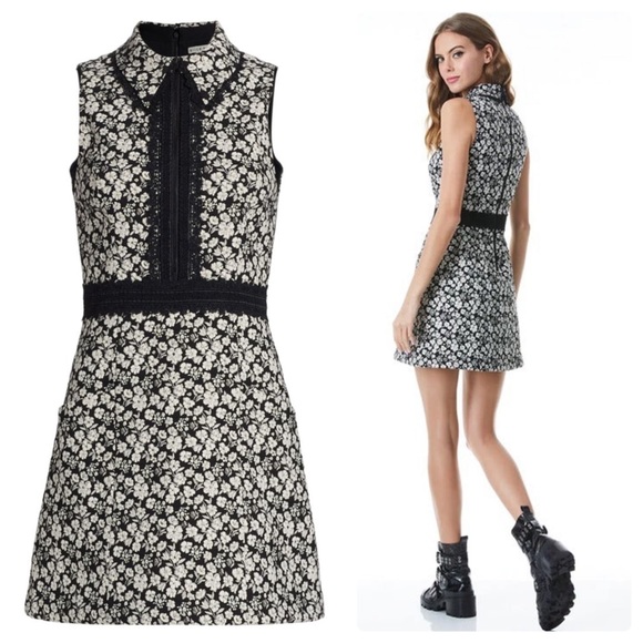 ALICE + OLIVIA Ellis Dress - Picture 7 of 14